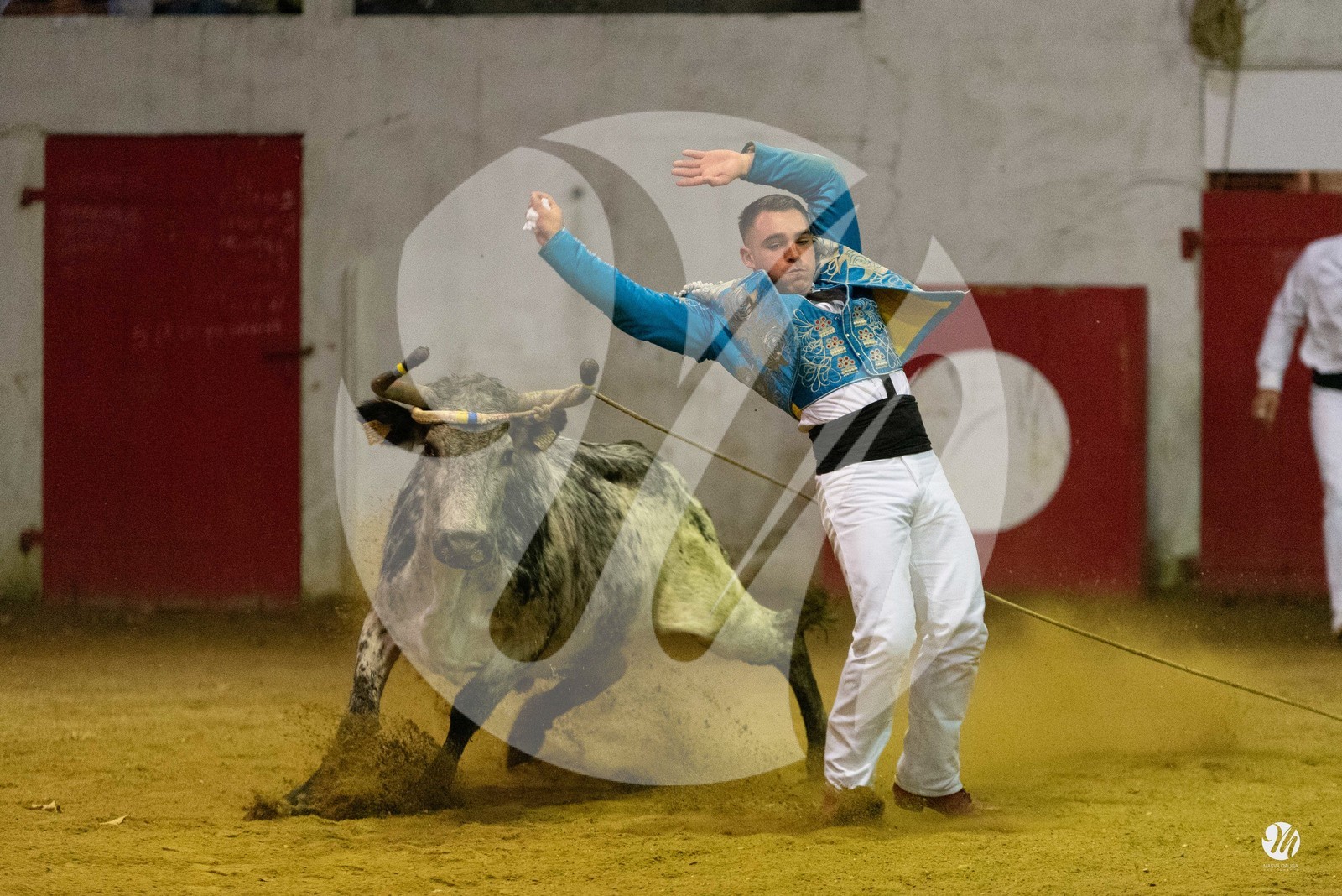 dsc_7722.jpg
