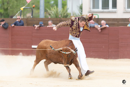 dsc_5611.jpg