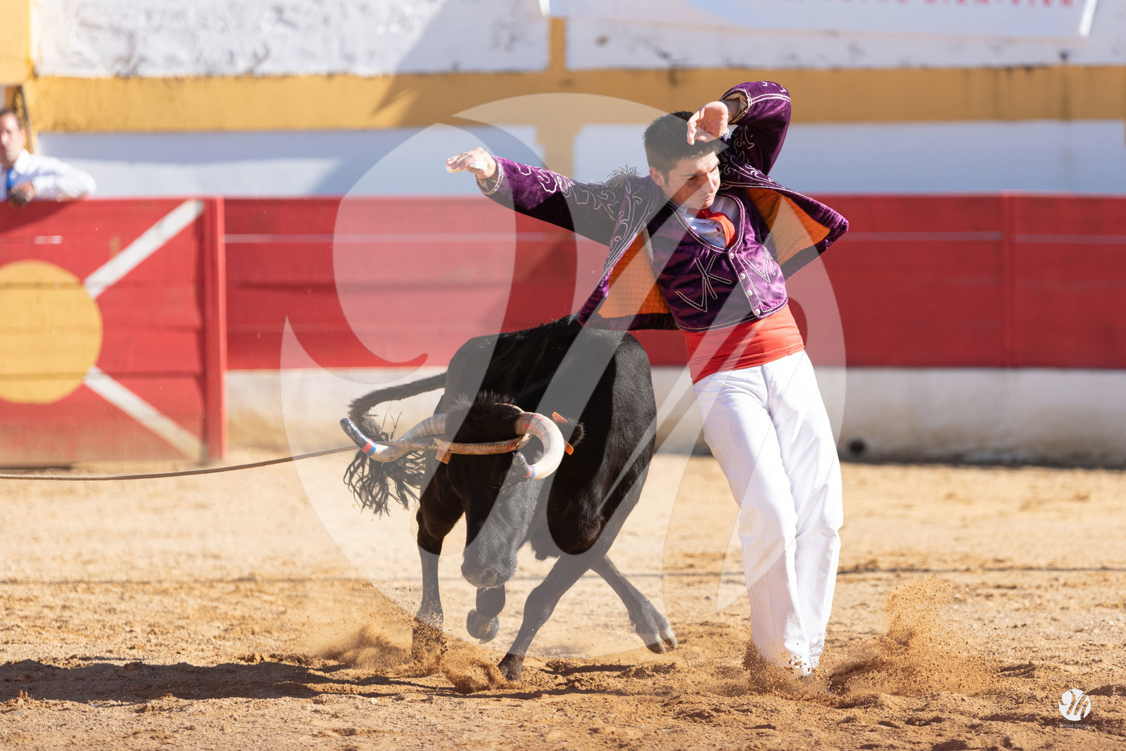 dsc_6735.jpg