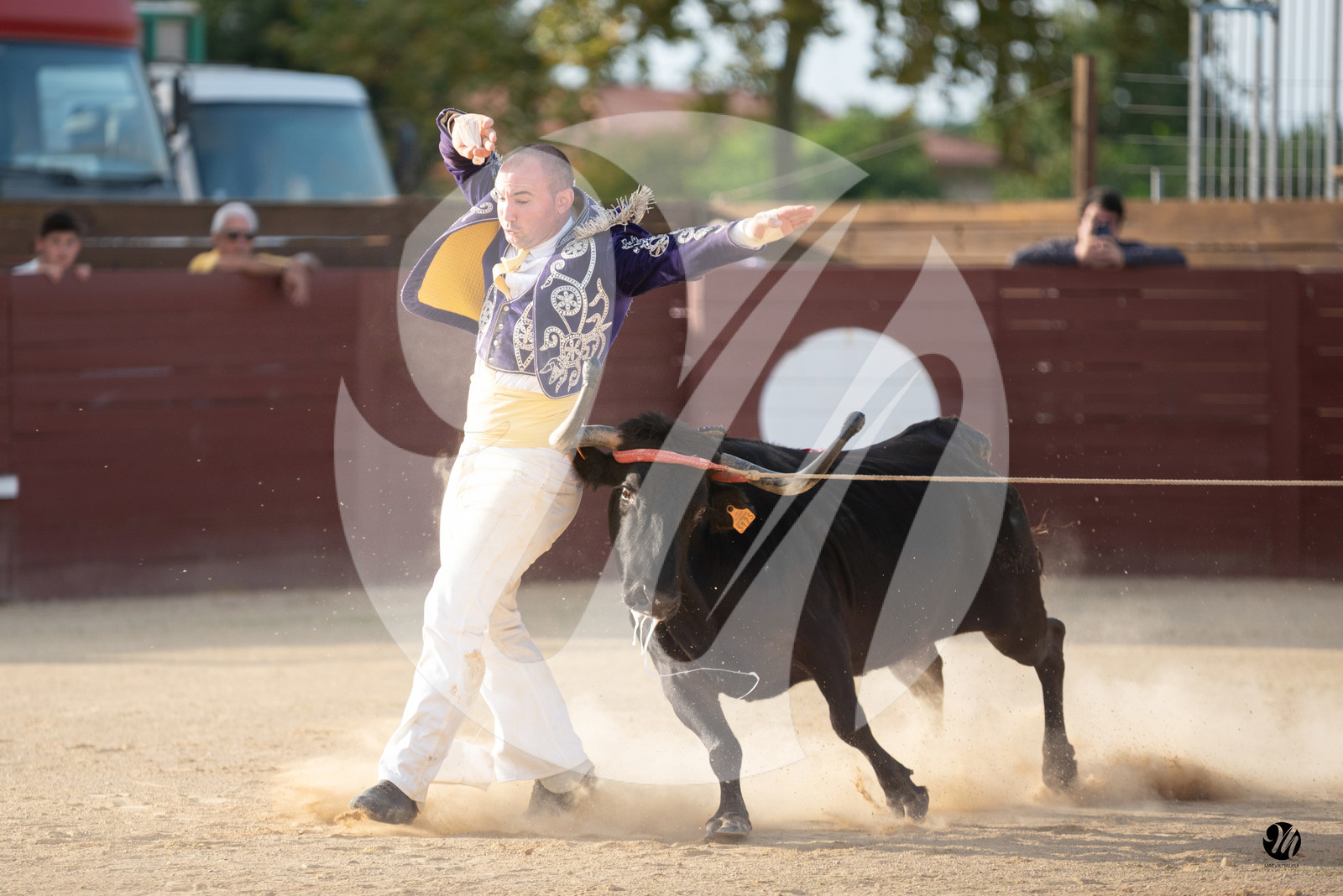 dsc_6105.jpg