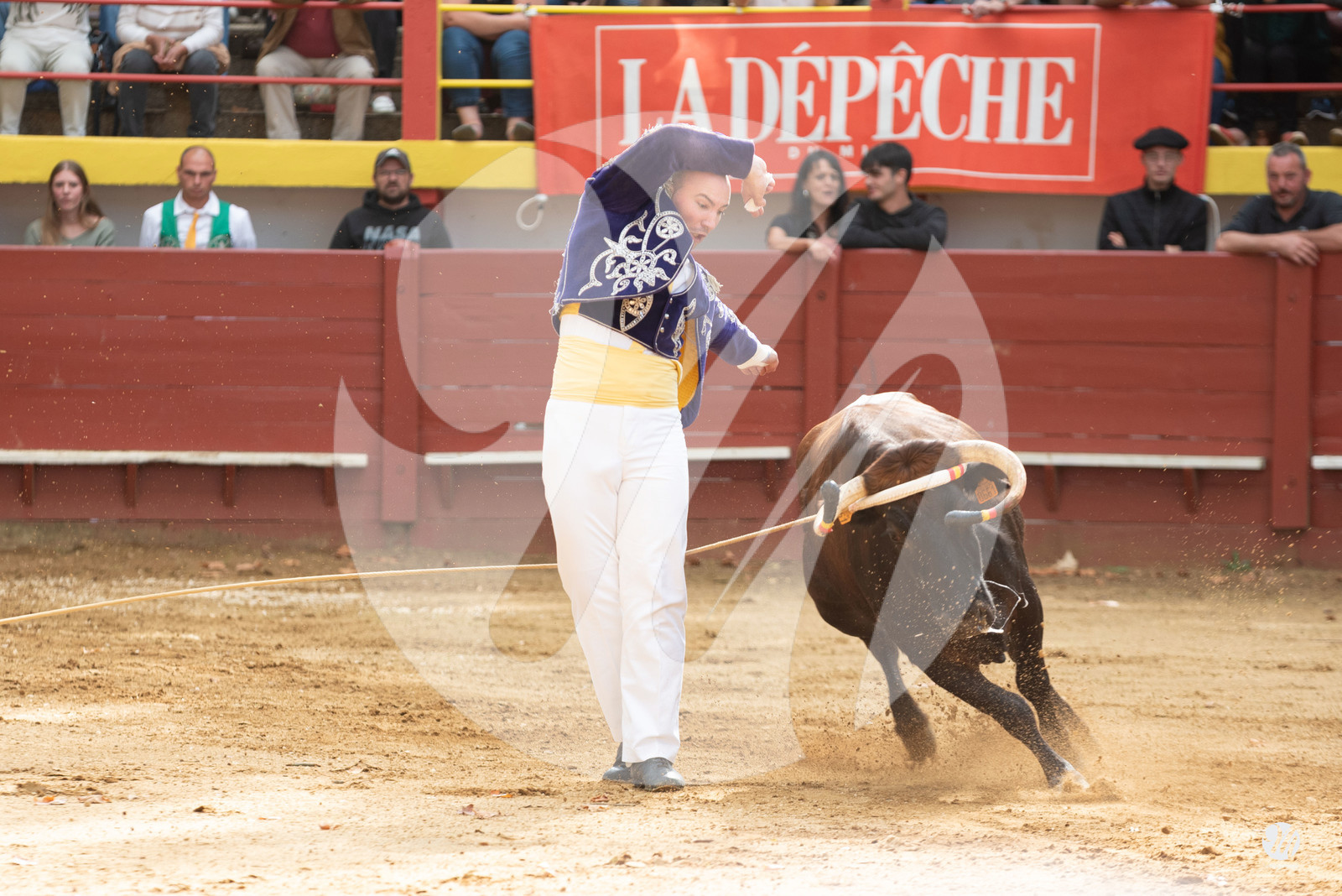 dsc_2964.jpg