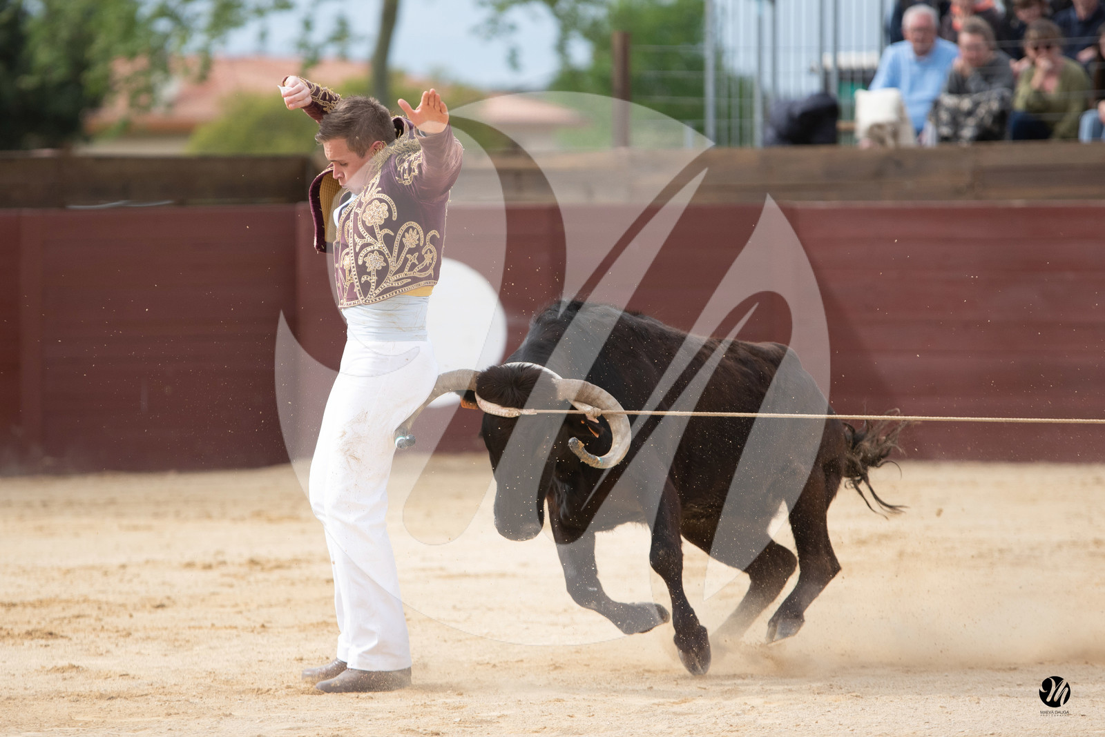 dsc_6074.jpg