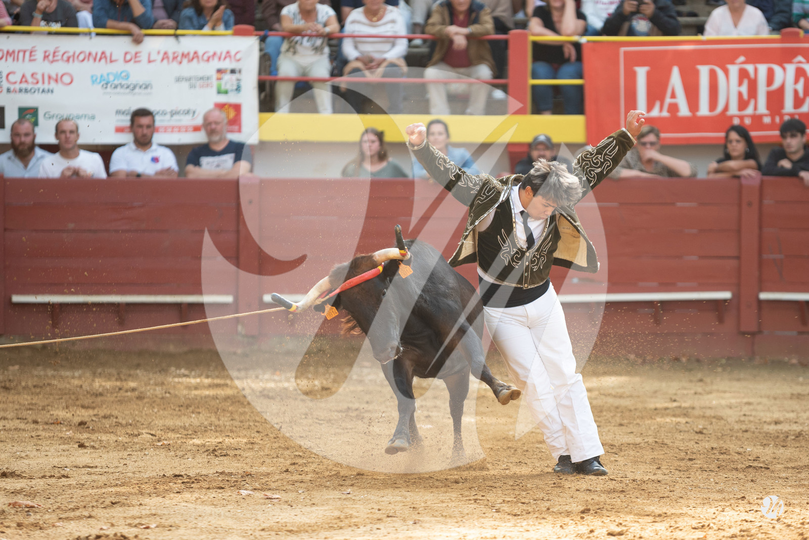 dsc_3174.jpg