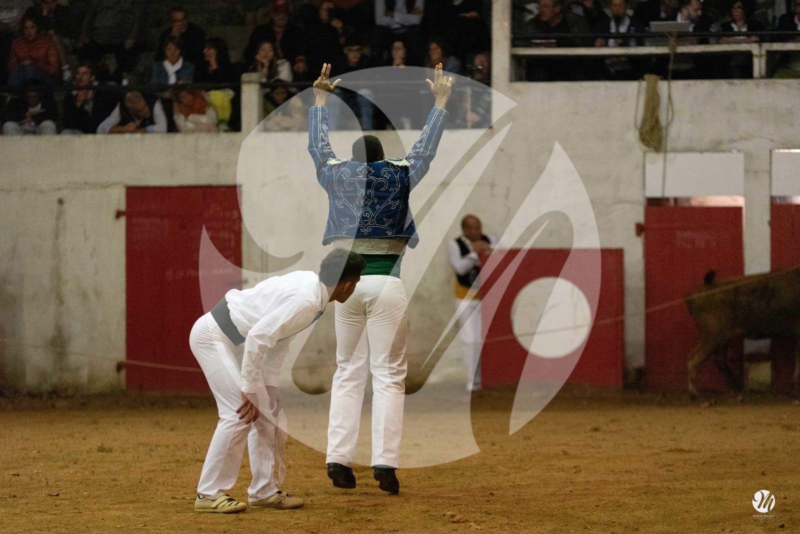 dsc_7183.jpg