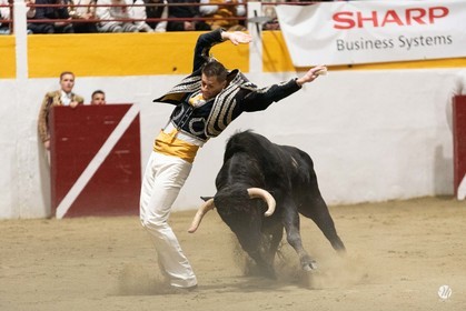 dsc_4673.jpg