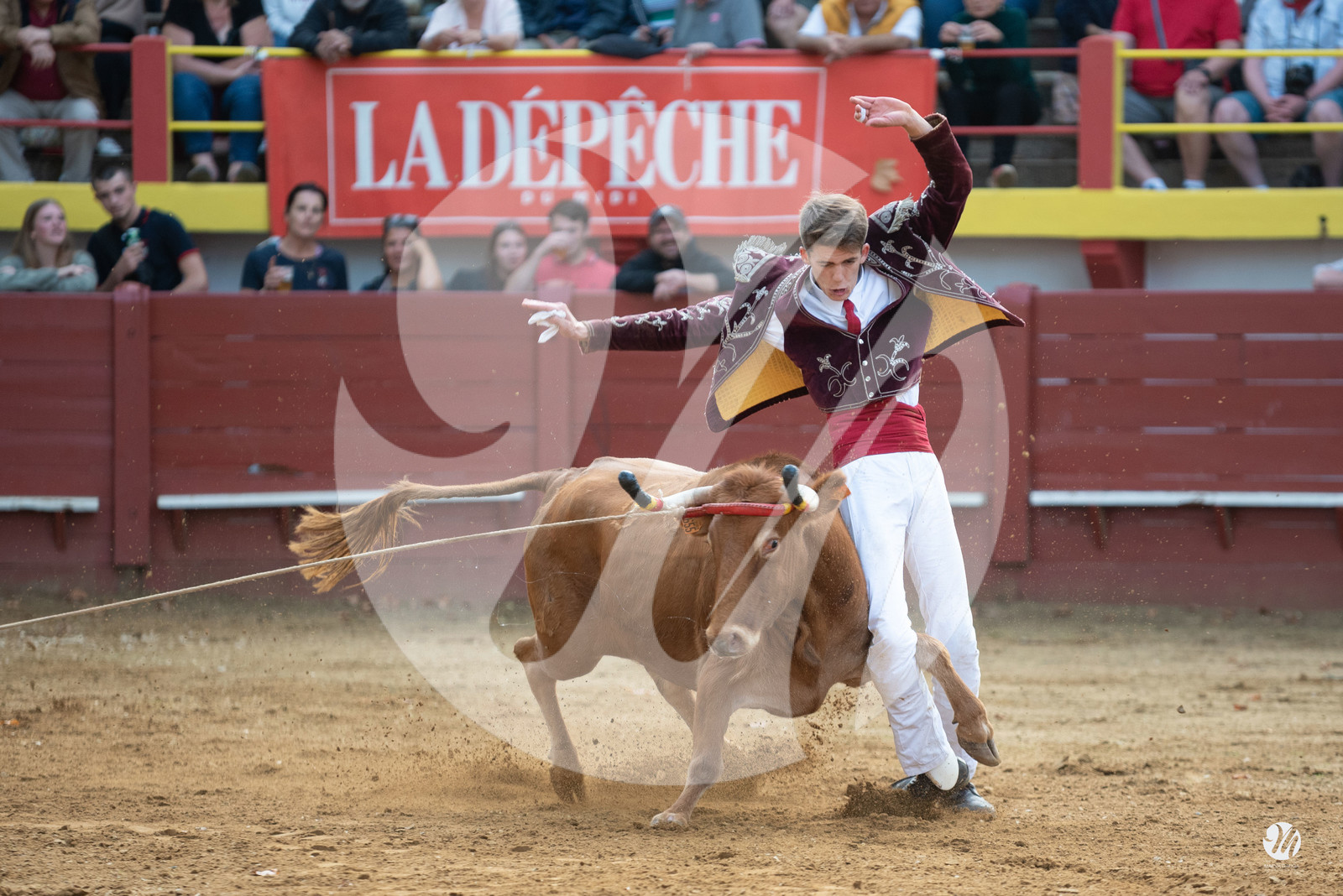 dsc_3367.jpg