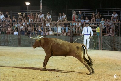 dsc_7738.jpg