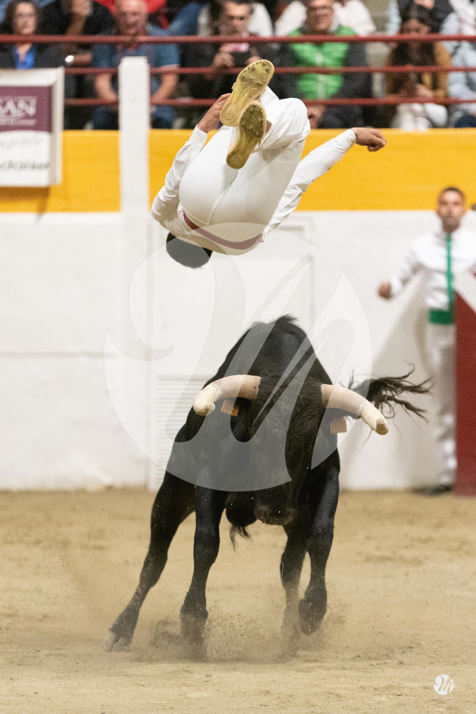 dsc_4287.jpg