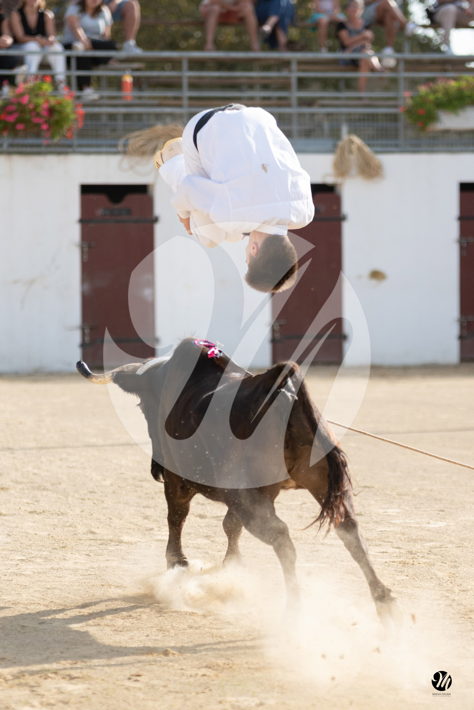 dsc_5913.jpg