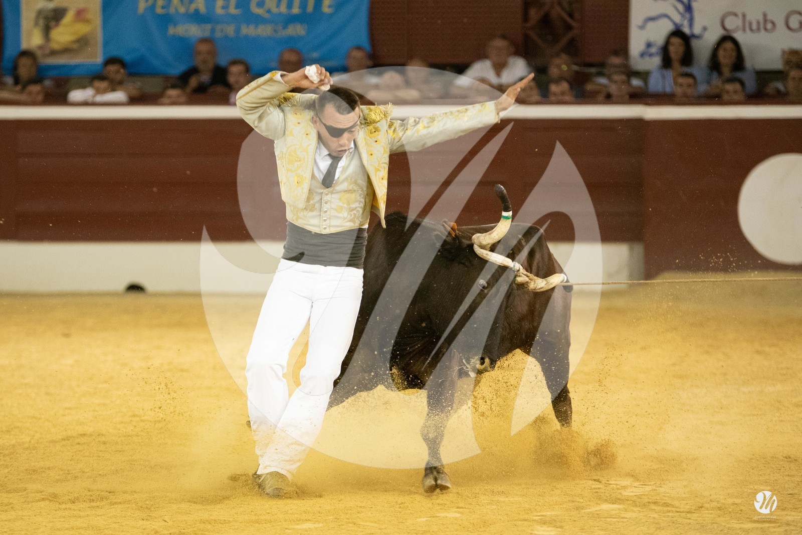 dsc_0331.jpg