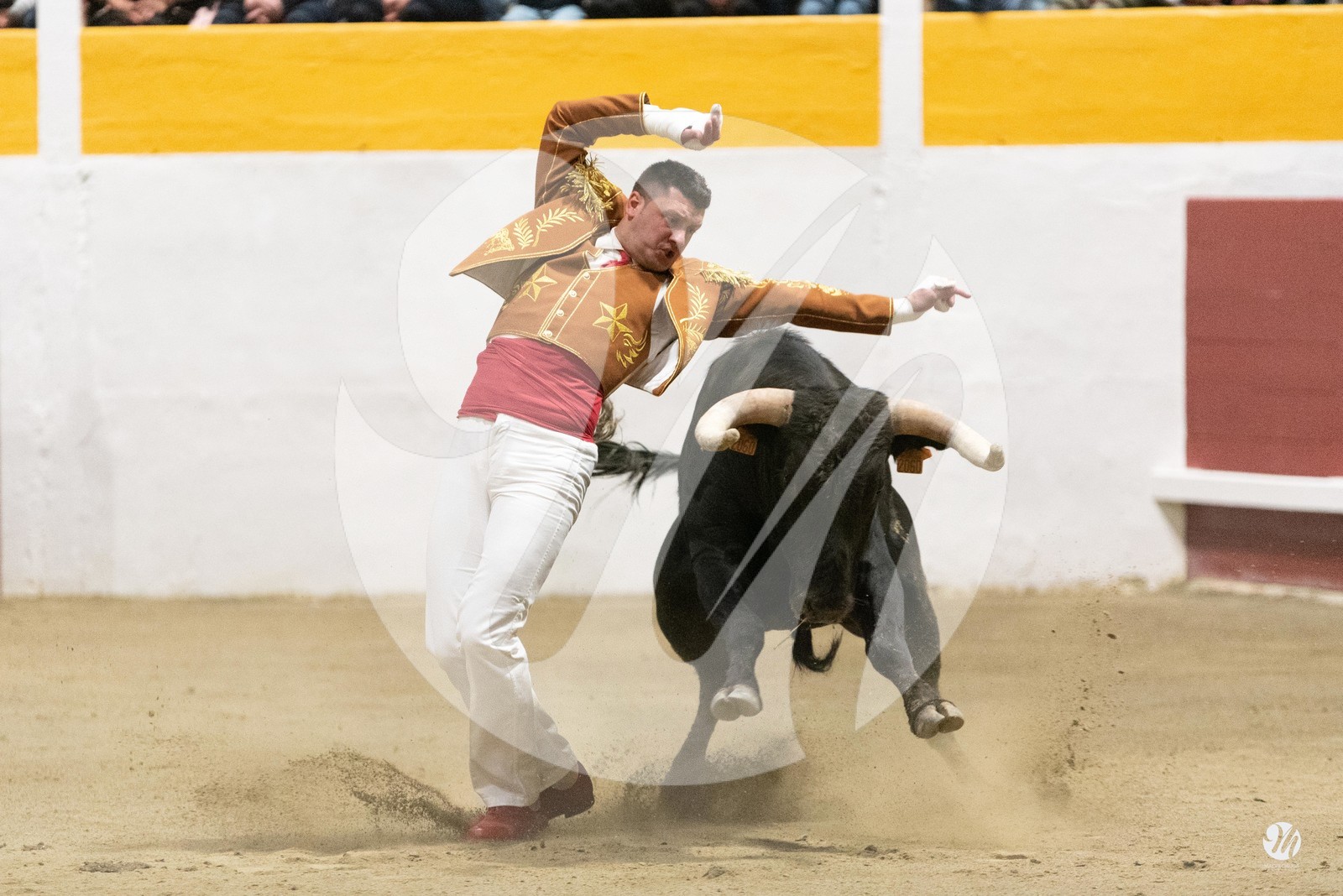 dsc_4275.jpg
