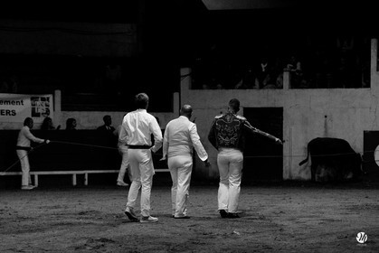 dsc_7194.jpg-nb.jpg