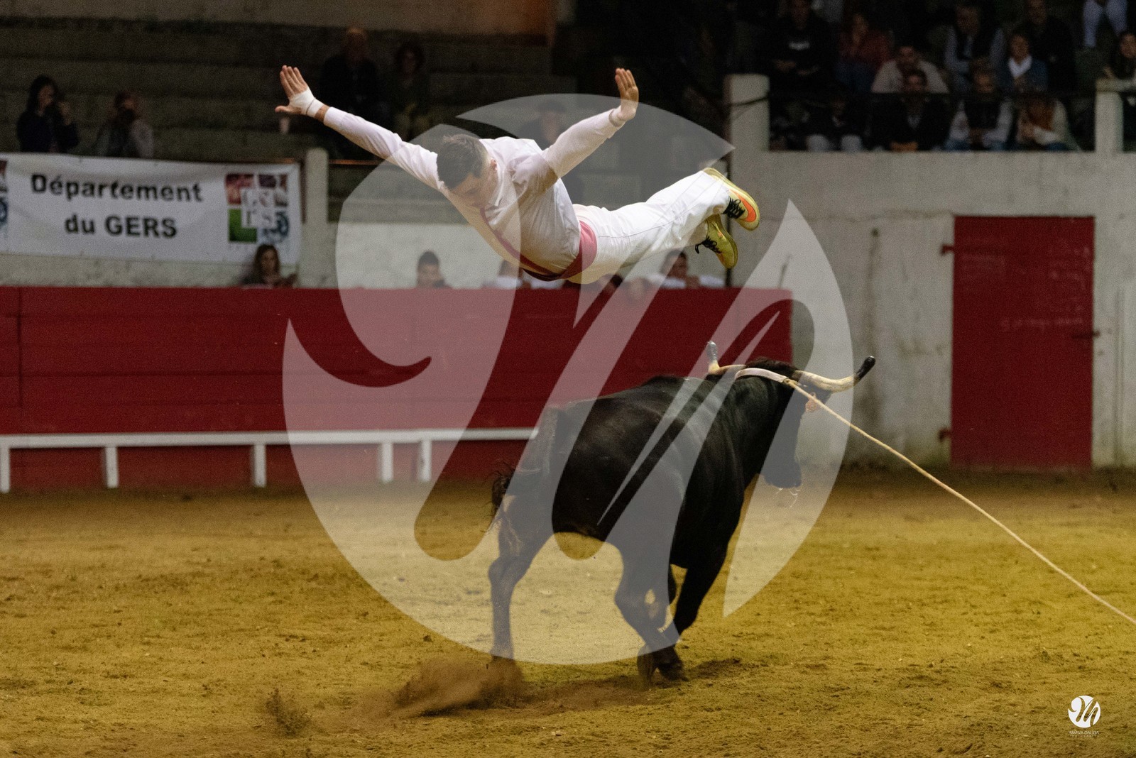 dsc_7608.jpg