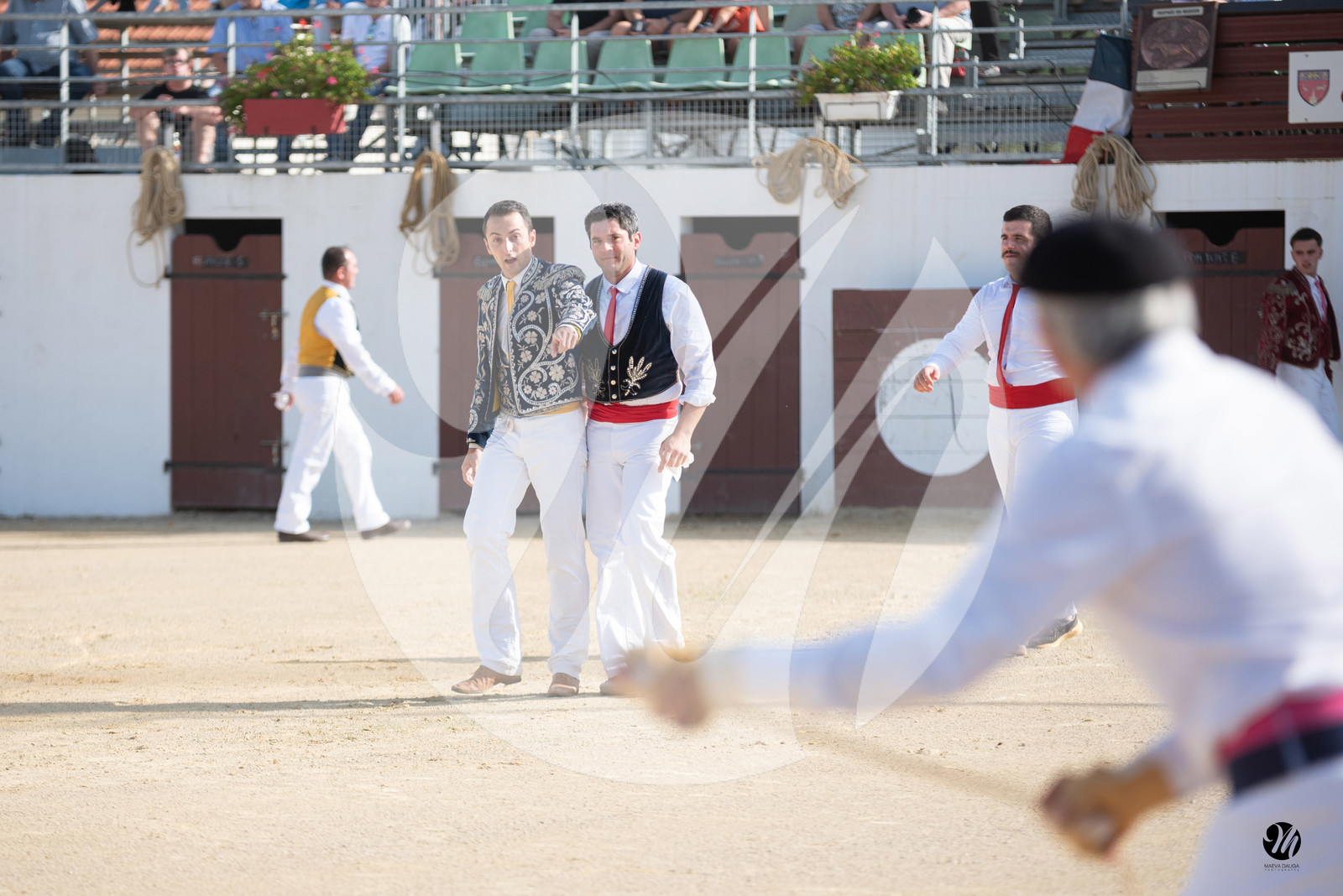 dsc_5646.jpg