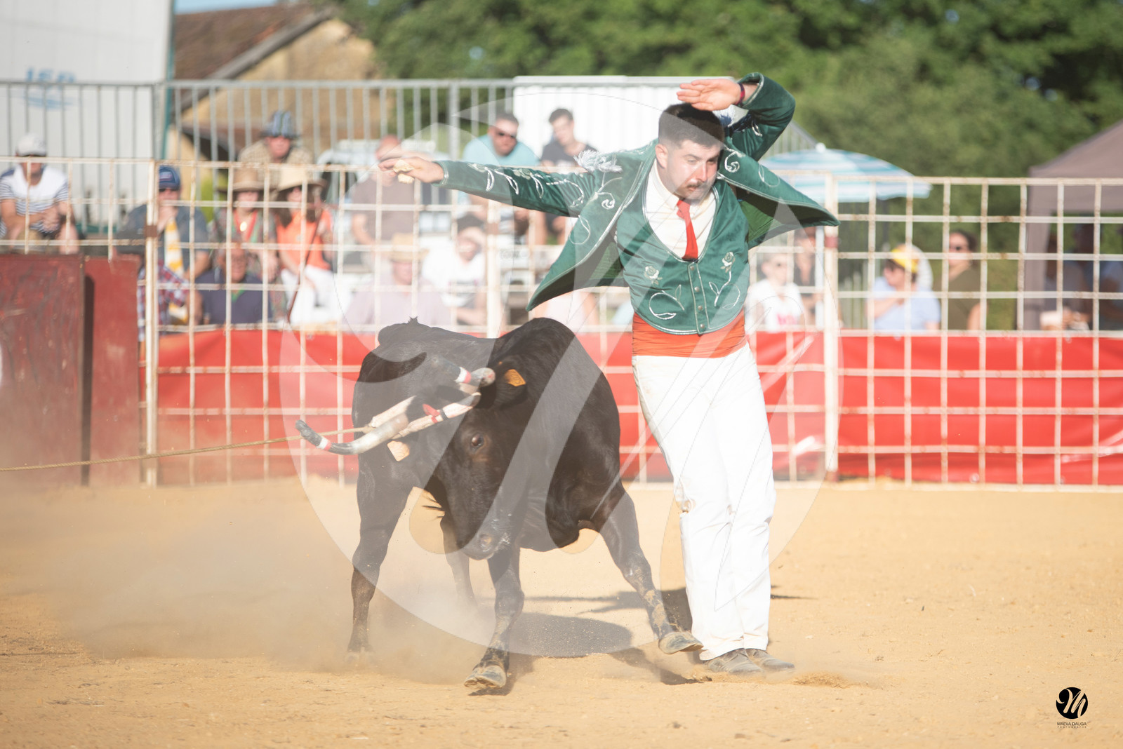 dsc_4276.jpg