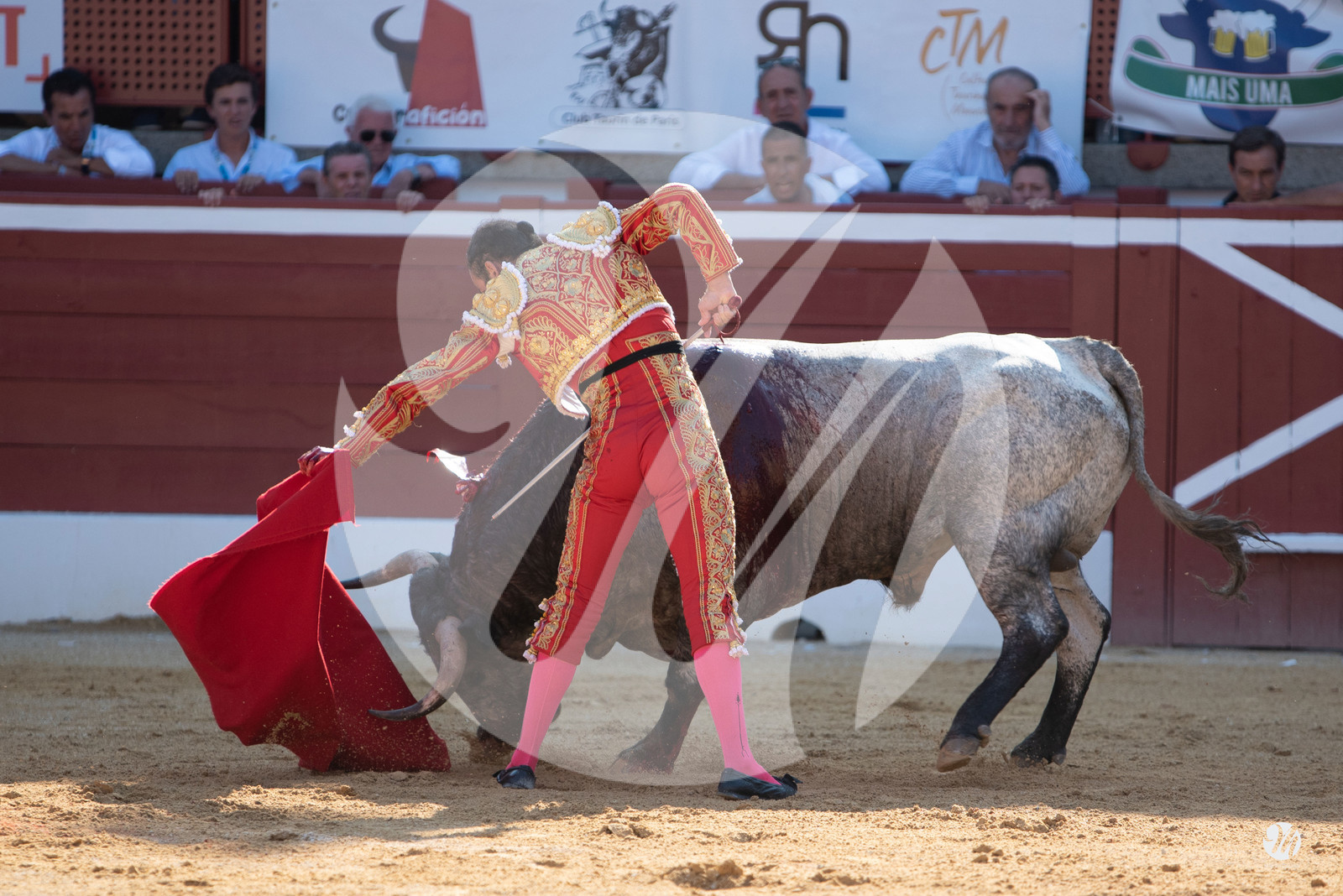 dsc_1578.jpg