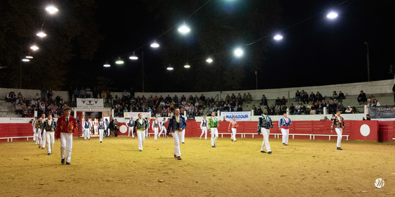 dsc_2824.jpg