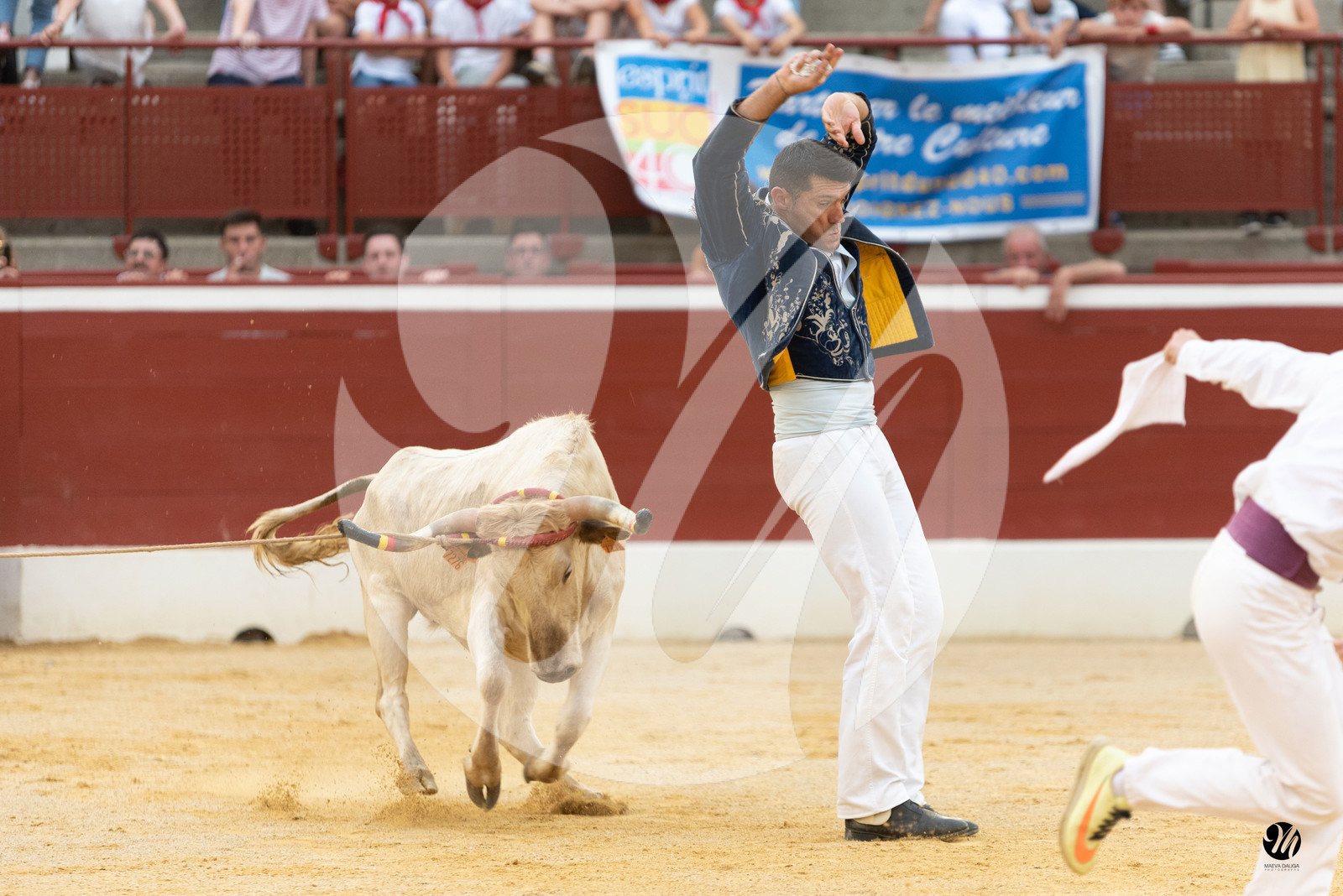dsc_0992.jpg