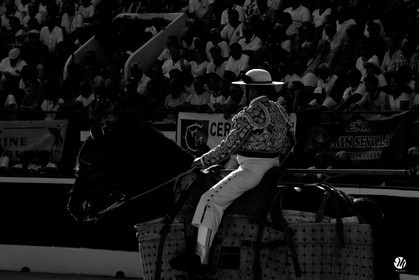 dsc_1652.jpg-nb.jpg