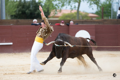 dsc_5864.jpg