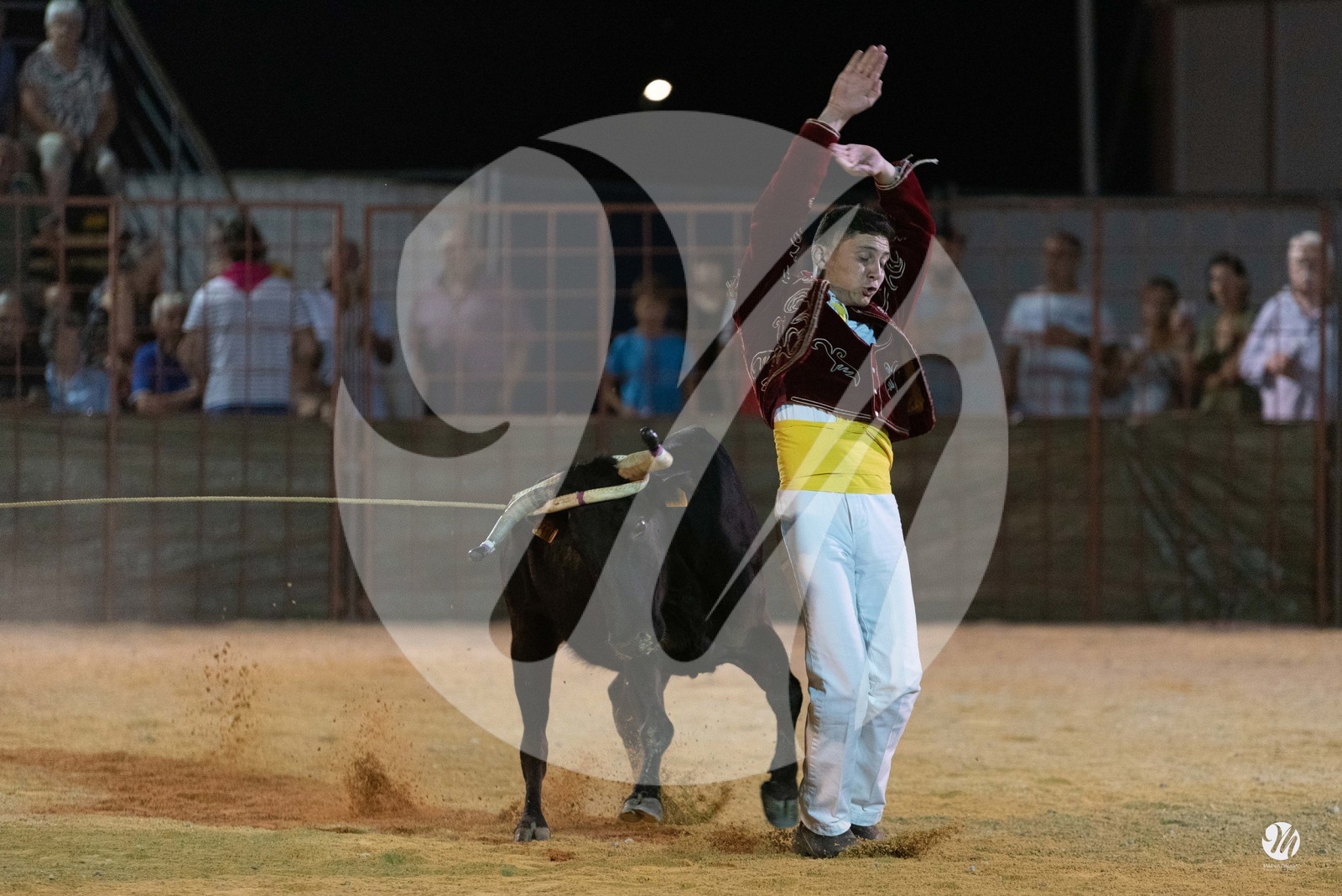 dsc_7627.jpg