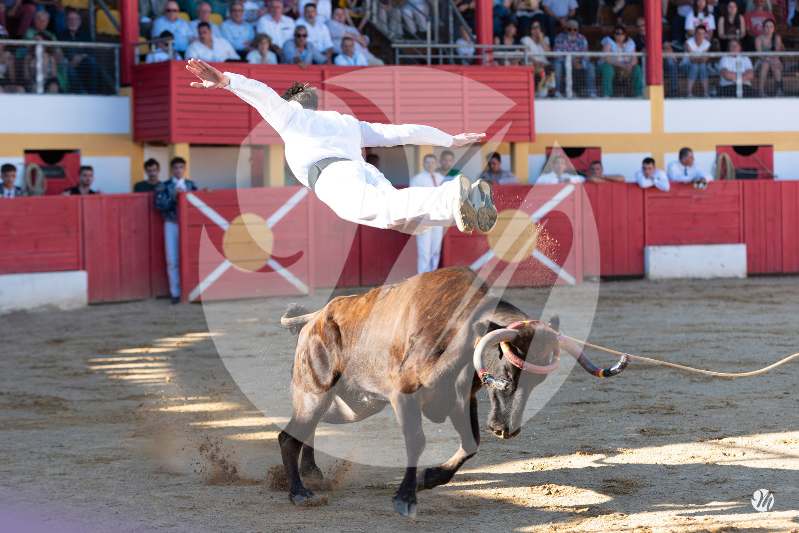 dsc_6848.jpg