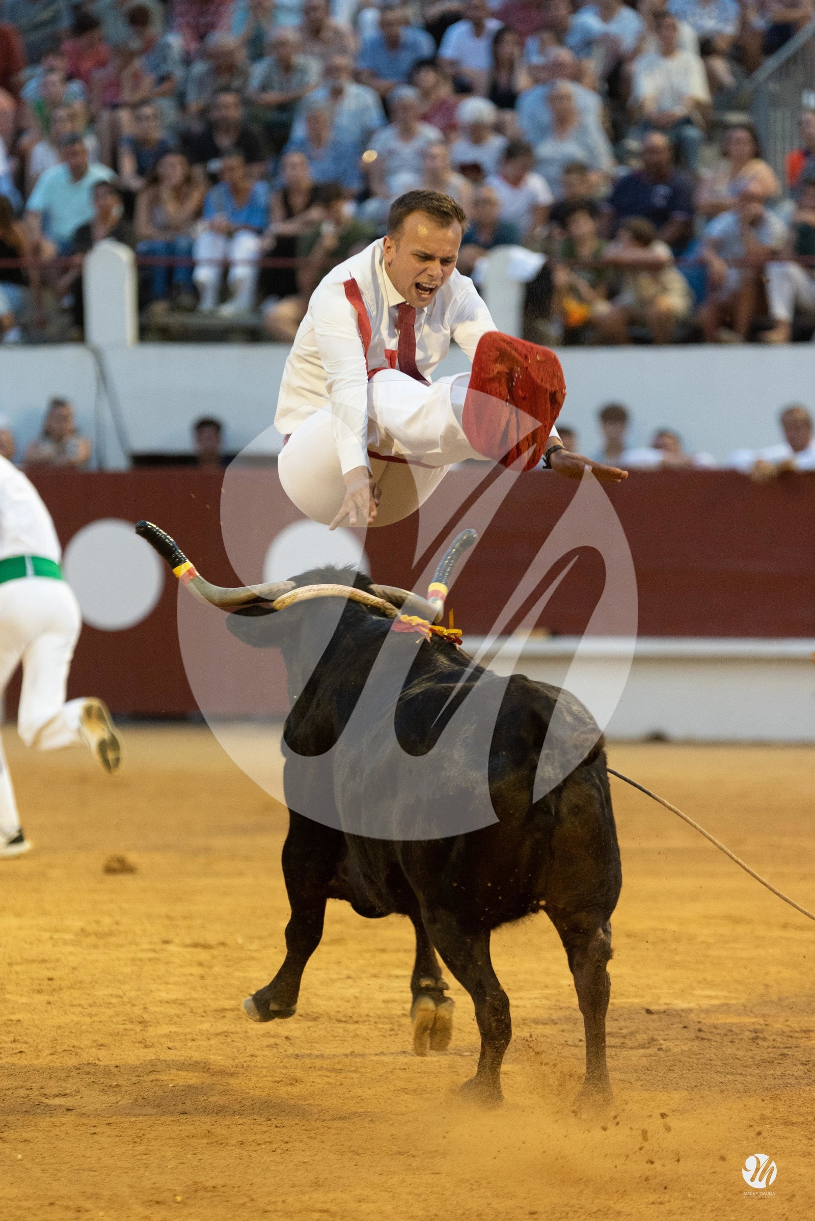 dsc_2562.jpg