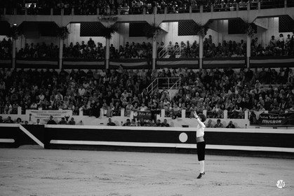 dsc_1942.jpg-nb.jpg