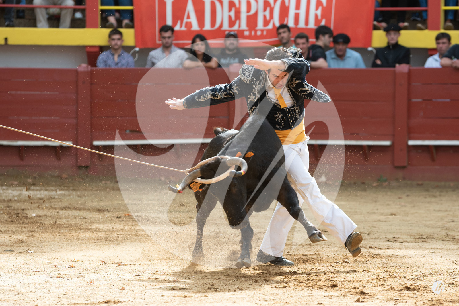 dsc_2860.jpg