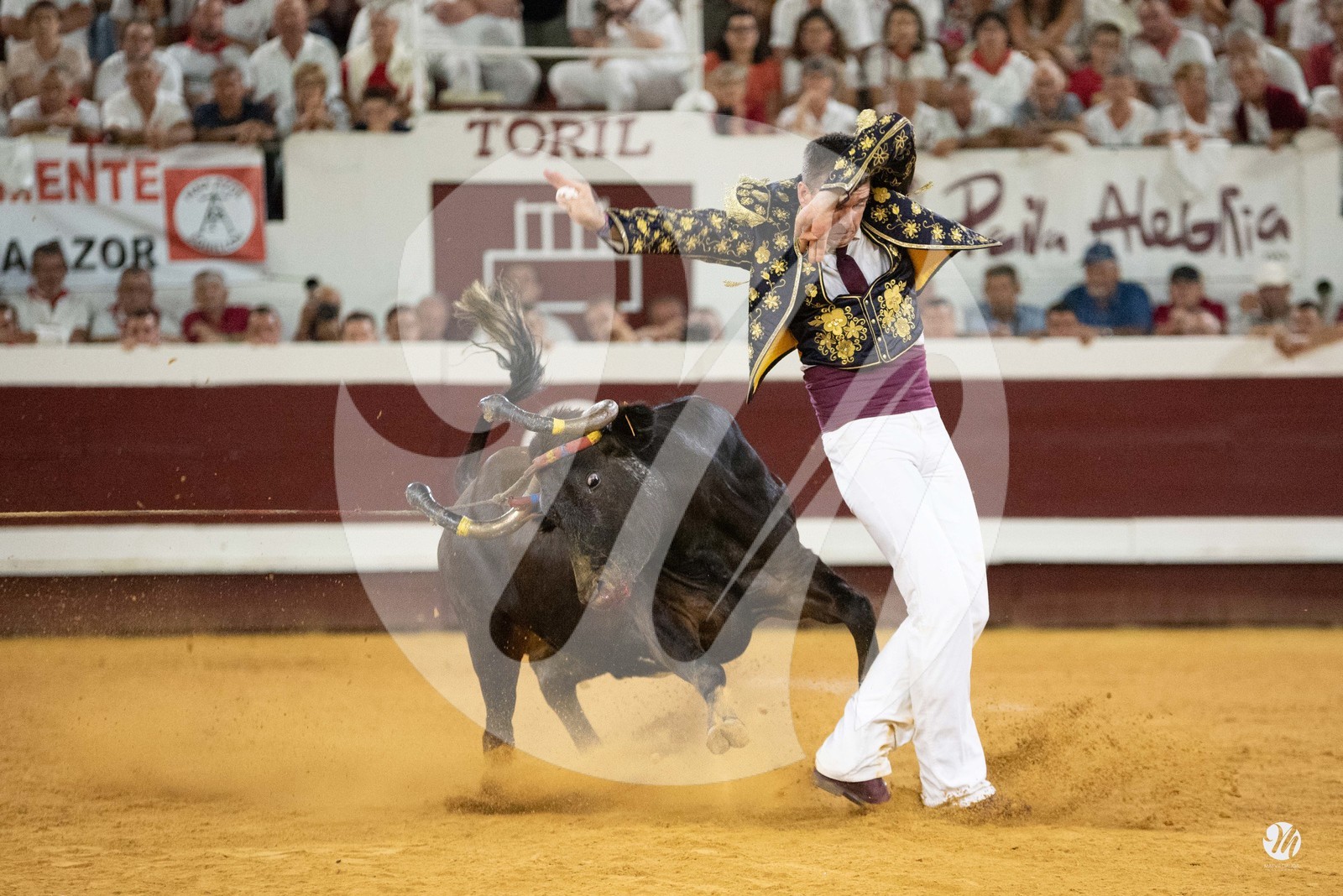 dsc_5762.jpg