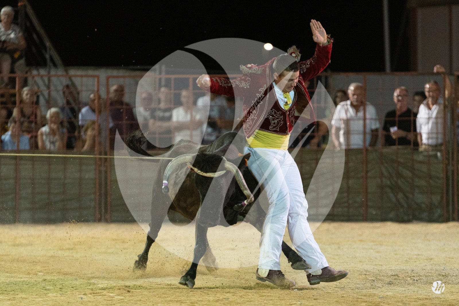 dsc_7786.jpg