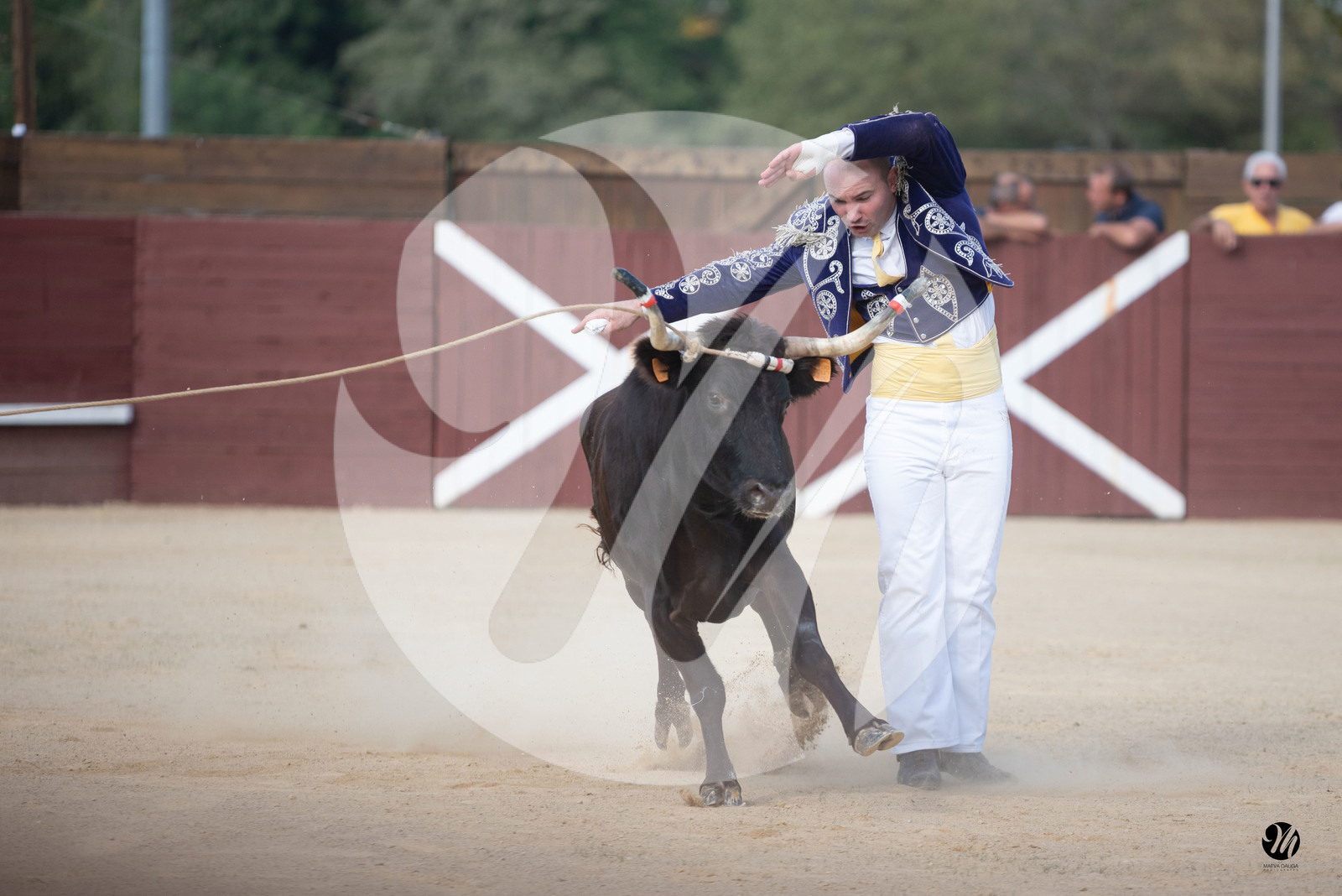 dsc_5794.jpg