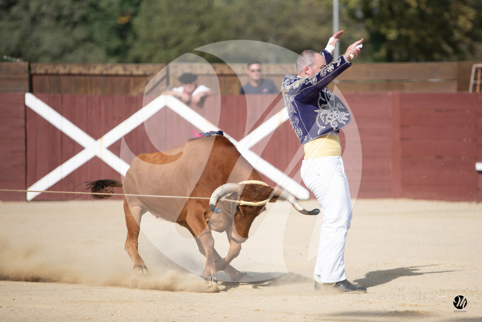 dsc_5641.jpg