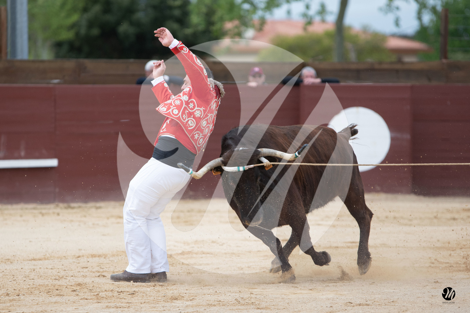 dsc_5888.jpg