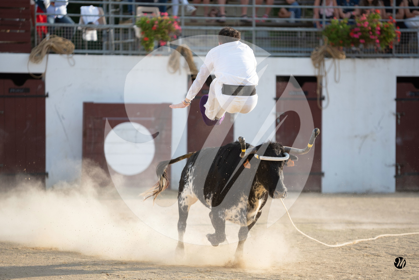 dsc_6169.jpg