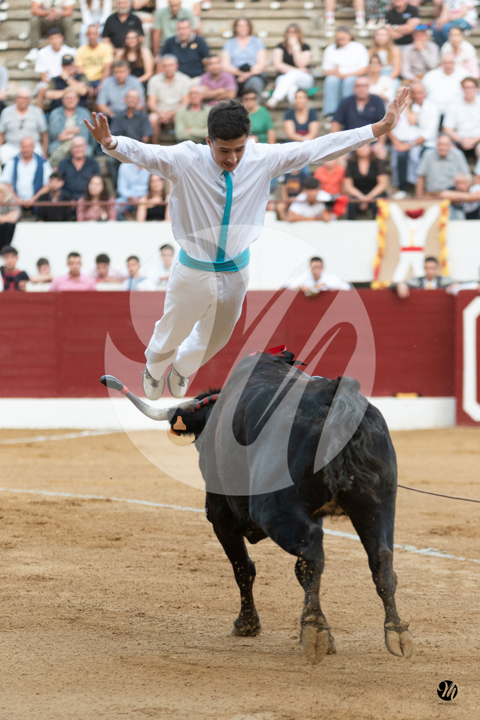 dsc_1406.jpg