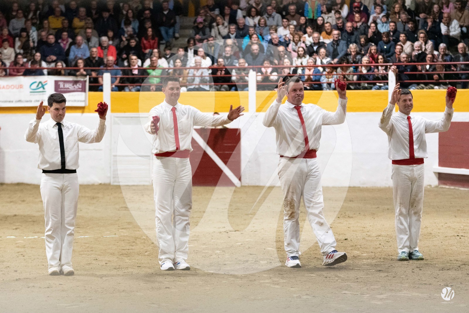 dsc_4684.jpg