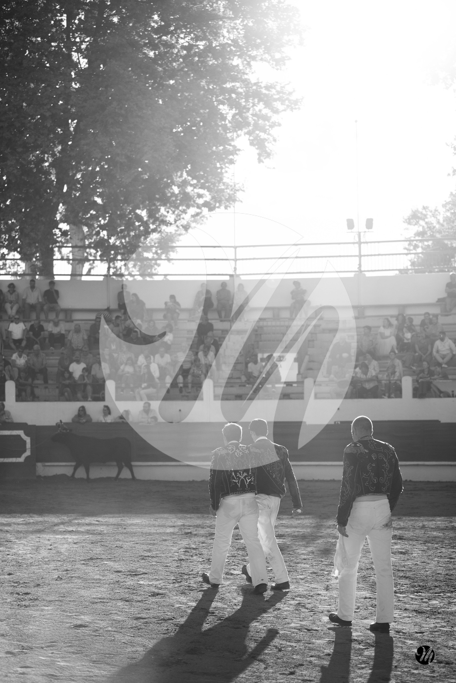 dsc_4500.jpg-nb.jpg