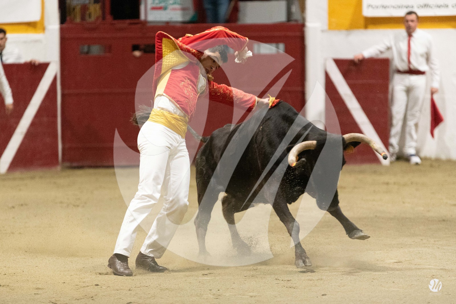 dsc_3952.jpg