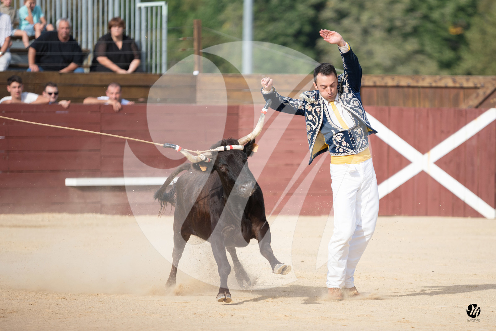 dsc_5775.jpg