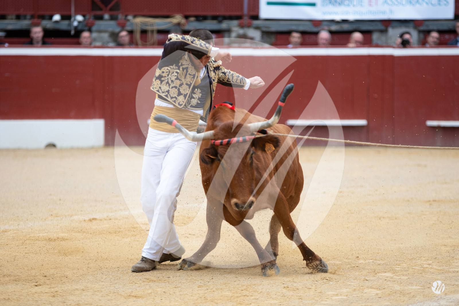 dsc_9711.jpg