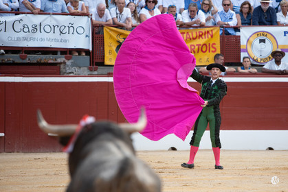dsc_2204.jpg