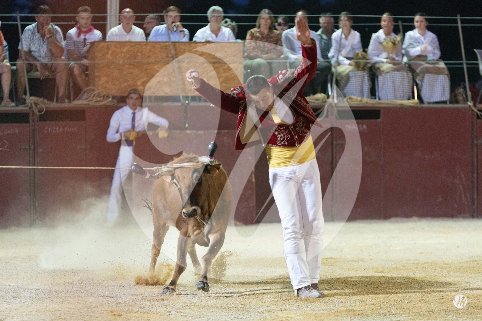 dsc_7369.jpg