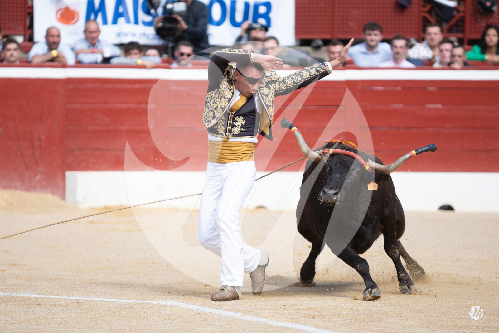dsc_9165.jpg