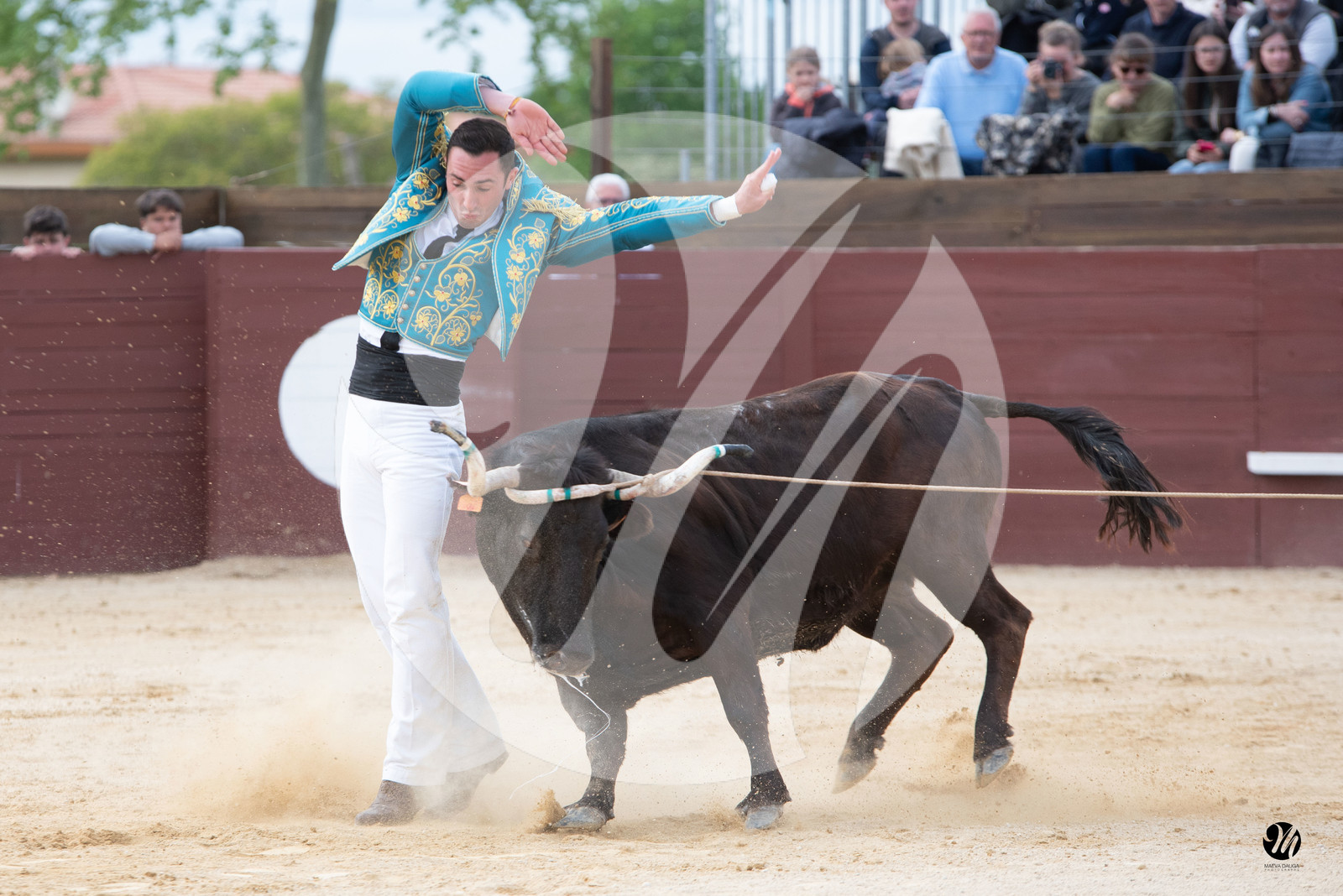 dsc_6357.jpg