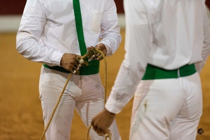 dsc_1930.jpg