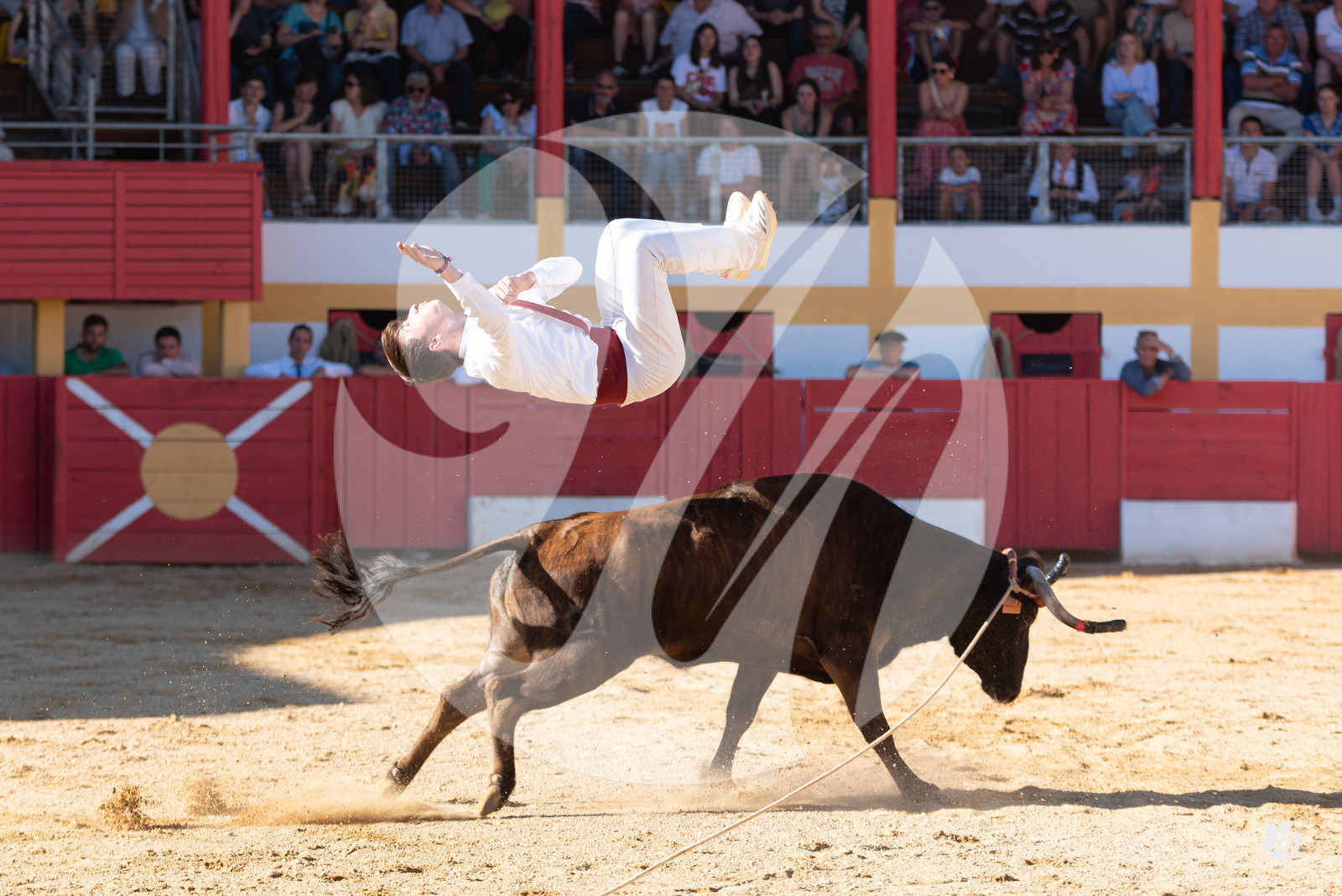 dsc_6839.jpg