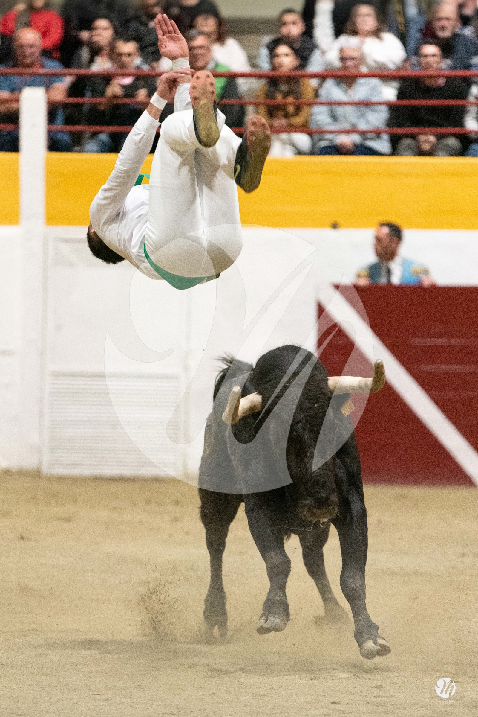 dsc_4170.jpg