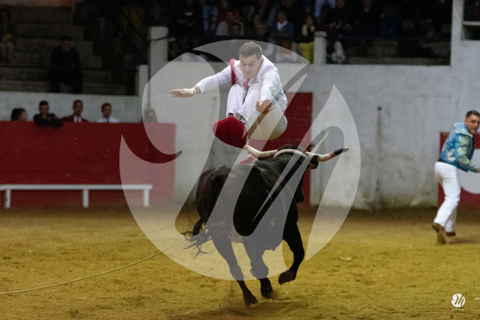 dsc_7656.jpg