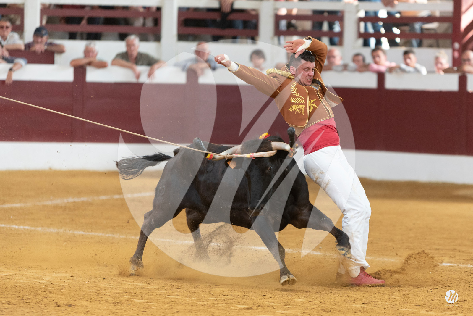 dsc_9762.jpg